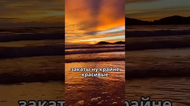 НИ В КОЕМ случае НЕ покупайте квартиру в Таиланде! смотреть онлайн