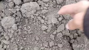 монеты и всякая старина на соседнем огороде