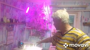 краткий курс по перетяжке мягкой мебели для желающих заниматься самостоятельно.