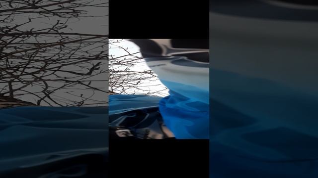 увидели прогаси 250 куб