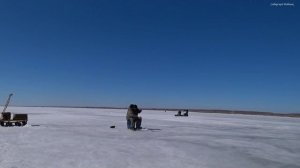 ВОДЫ 10 см, а СУДАКА ПОЛНО! ВЕСЕННИЙ ХАПОК СУДАКА на ВОДОХРАНИЛИЩЕ, ЗАКРЫЛ СЕЗОН