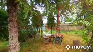 Домодедовский район деревня Тургенево д. 38