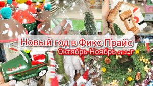 ОГО ВОТ ЭТО ЗАВОЗ😱Шикарные НОВОГОДНИЕ НОВИНКИ в ФИКС ПРАЙС🎄Ноябрь 2024г.