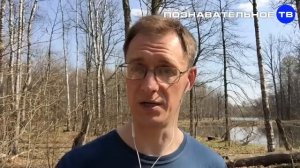 Как купить жильё без ипотеки Познавательное ТВ, Артём Войтенков