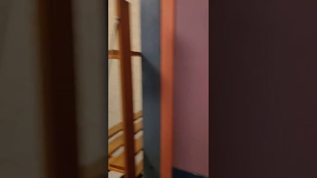 Срочно сдается двухкомнатная квартира на м. Профсоюзной! Только что освободили арендаторы. смотреть онлайн