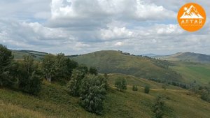 Алтайский край Чарышский район