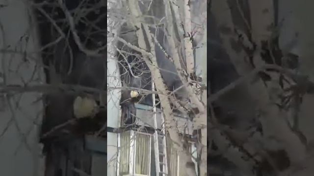 В Твери сгорела квартира. Подробнее в нашем Телеграме! смотреть онлайн