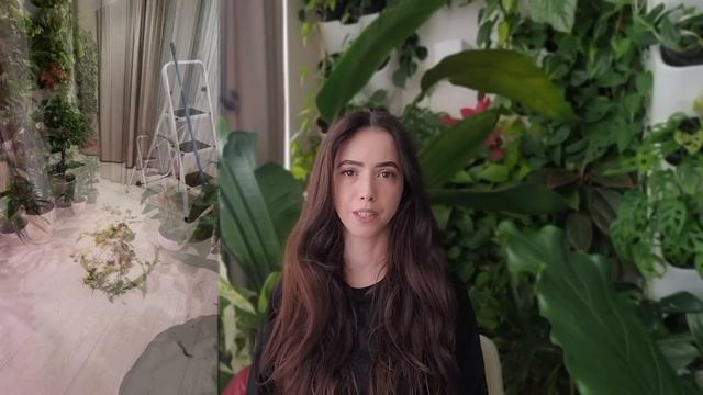 Фитостена | Обзор, уход, подбор растений смотреть онлайн