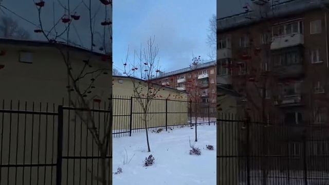 Обзор на районы Новосибирска часть 1 #недвижимостьновосибирск #риэлтор #башня #ленинскийрайон