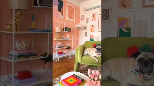 Наш сайт kvartira.market смотреть онлайн