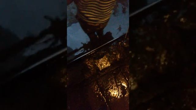 Потоп в подъезде на Склизкова в Твери смотреть онлайн