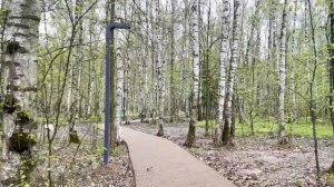 А ну пошли вон отсюда! Заорала свекровь, когда невестка позвала гостей в свою квартиру.