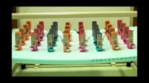 Коллективное сознание или Эффект сотой обезьяны