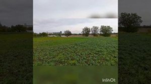 Дом на участке 20 соток в х. Журавлевка Калининский район