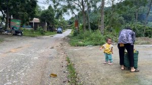 Single Mother - Harvesting sour fruit to sell at the market  - Ly Cat Anh