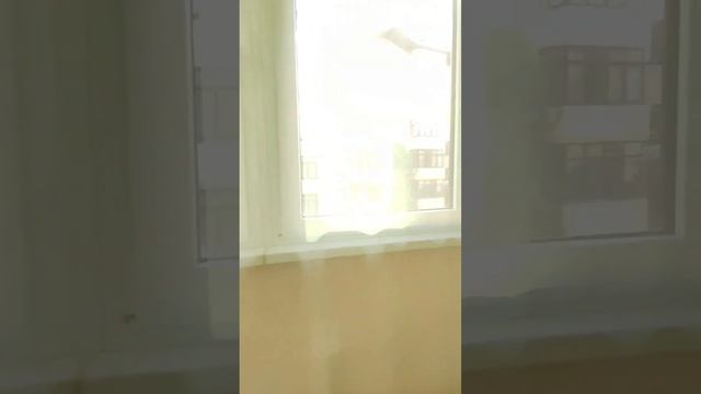 +79180641488 Жуков Роман | Анапа ул. Ленина 180к2 | 1•ком S'38 m2 | Этаж 2/5 #аренда #квартир смотреть онлайн