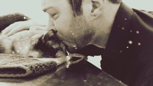 Стих - ''Уродливый кот''