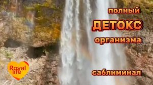 Избавься от всех паразитов , шлаков , токсинов с помощью скрытых позитивных аффирмаций (саблиминала
