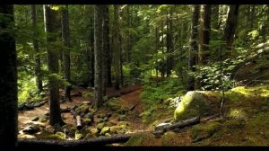 Короткая медитация для начинающих на Осознанность