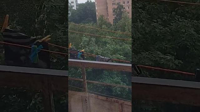 Сушка белья🤣 #рекомендации #щёлково смотреть онлайн