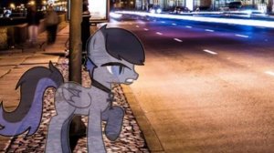 Пони клип Слёзы на асфальте