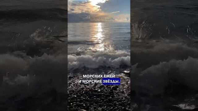 #анапа #жильеуморя #море #недвижимость #купитьдом #домуморя #купитьквартиру #анапасейчас смотреть онлайн