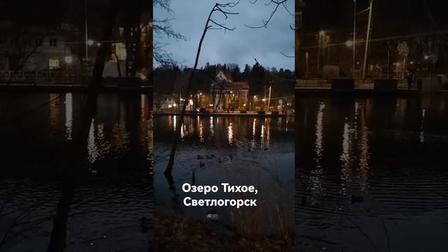 Озеро Тихое, Светлогорск | Калининградская область смотреть онлайн