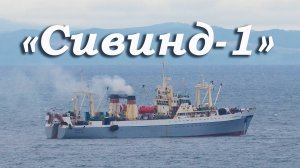 БАТМ "Сивинд-1", Японское море, Владивосток