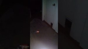 Квартира страха