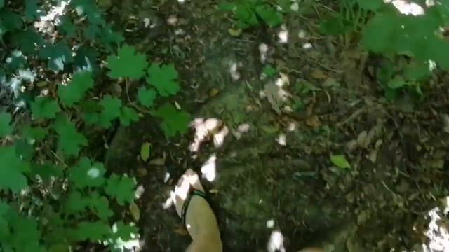 Небольшое путешествие на заброшенный пляж в коттеджах Тихонино