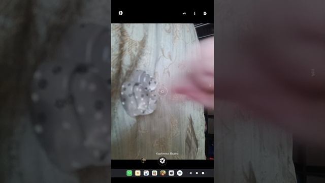 Тапа лапка чек.