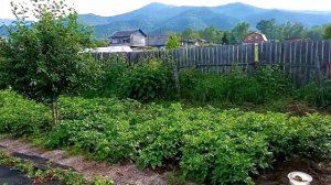 Деревня на берегу Байкала🏡 Наши будни.