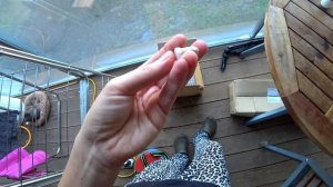 Дачная суета и ответы на вопросы ^^ KOREA VLOG