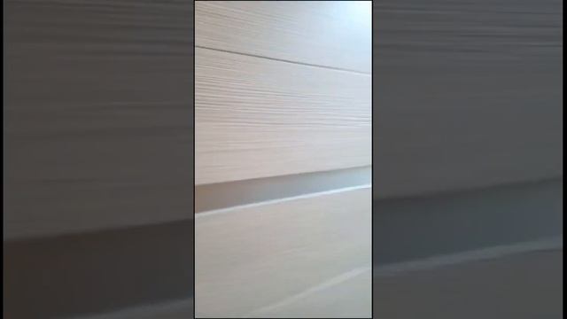 1ком Забалуева 98 | Аренда квартир Новосибирск | Снять квартиру в Новосибирске смотреть онлайн