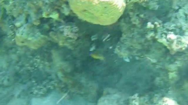 IMGP0480.MOV КРЫЛАТОВКА ДНЁМ ПРЯЧЕТСЯ смотреть онлайн