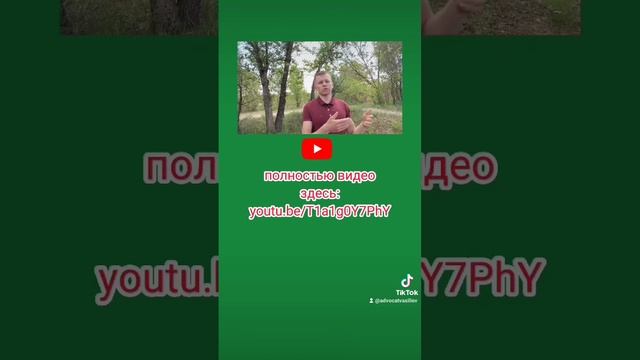 как решение суда передать исполнителю по исполнительному производству?#исполнительноепроизводство