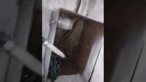 БОМЖИ в подвале 1
