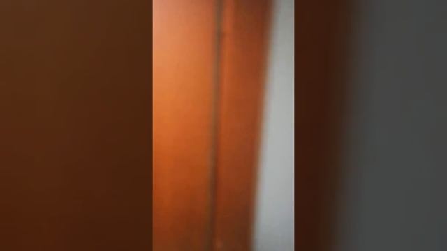 квартира сдаётся от собственника на длителтный срок смотреть онлайн