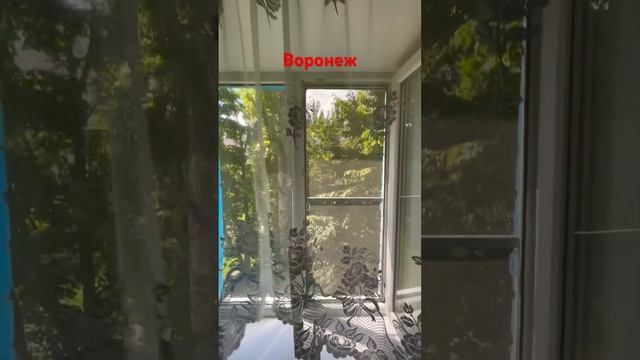 Воронеж.1шка Южно-Моравская, дом 10, 3 этаж смотреть онлайн