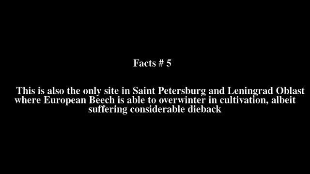 Duderhof Heights Top # 9 Facts смотреть онлайн