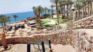 "Grand Halomy Resort"3*. Шарм Ель Шейх. Повернення.