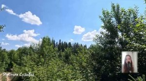 Приехала к свекрови забирать мужа с детьми, но то что подслушала стоя у беседки...