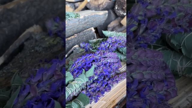 Секреты скруток из различных растений: зачем и для чего их использовать смотреть онлайн