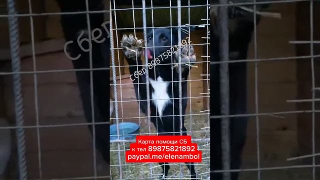 Помните этих малышей? Они здоровы и ищут родителей ❤️
