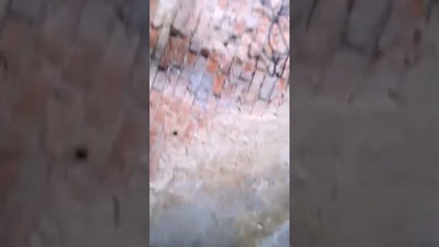 Нашли подвал пока спускались то чуть не убились.