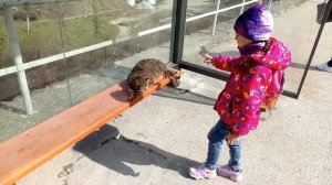 Крым. Алушта. С ул Юбилейной к автовокзалу. 23.03.2021.