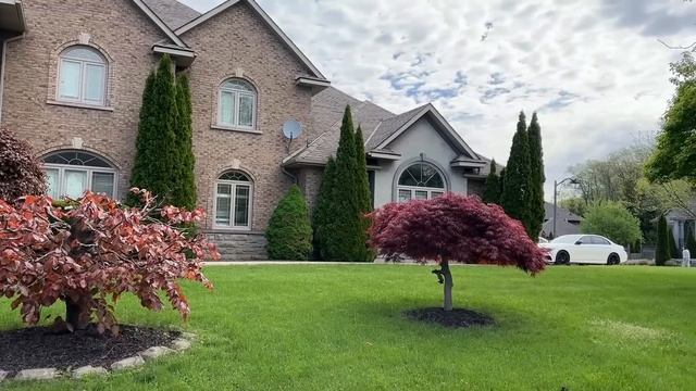 Правительство Канады идёт ко дну / Канадцы беднеют / Про-палестинский лагерь убрали смотреть онлайн