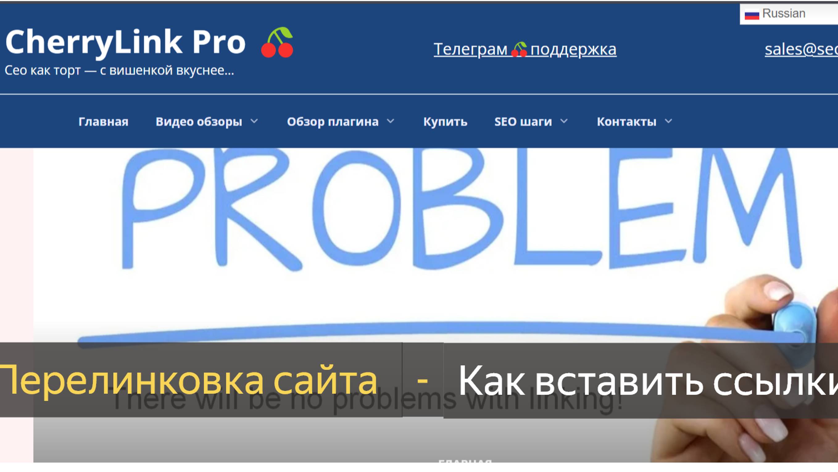 Перелинковка сайта в редакторе Wordpress с помощью плагина CherryLink Pro