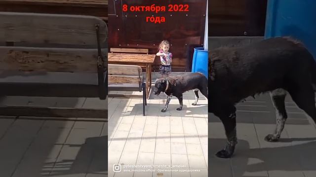 Новороссийск, станица Раевская смотреть онлайн