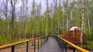 В разгар застолья муж оскорбил мою маму и влепил ей пощечину. Свекровь ухмыльнулась, а я сказала.